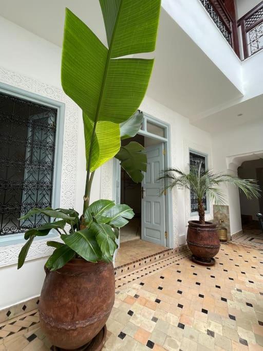 Riad Vivre - Design Boutique Riad In Marrakech Маракеш Екстериор снимка